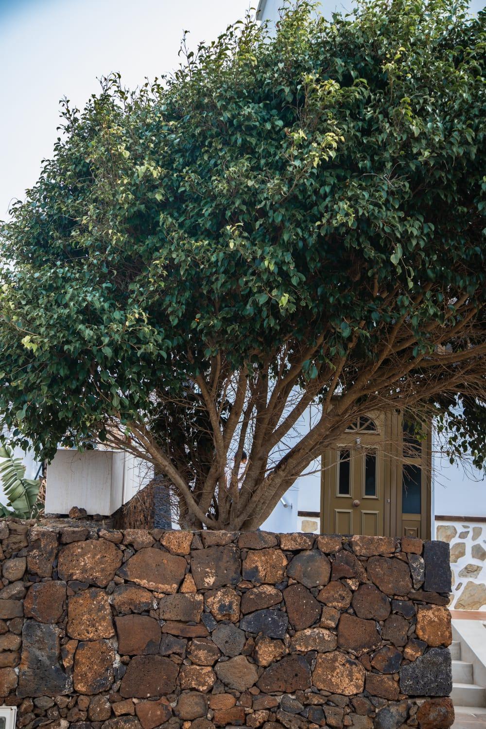 Casa Volcan De Caldera Blanca Tinguaton ภายนอก รูปภาพ
